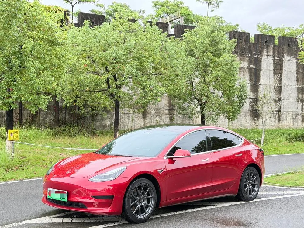 Tesla Model 3, 2019