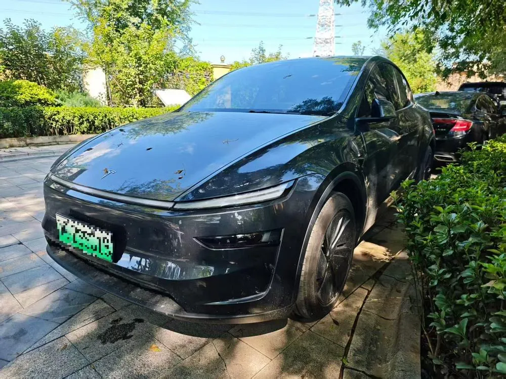 Tesla Model Y Edition, 2025 — фото 1