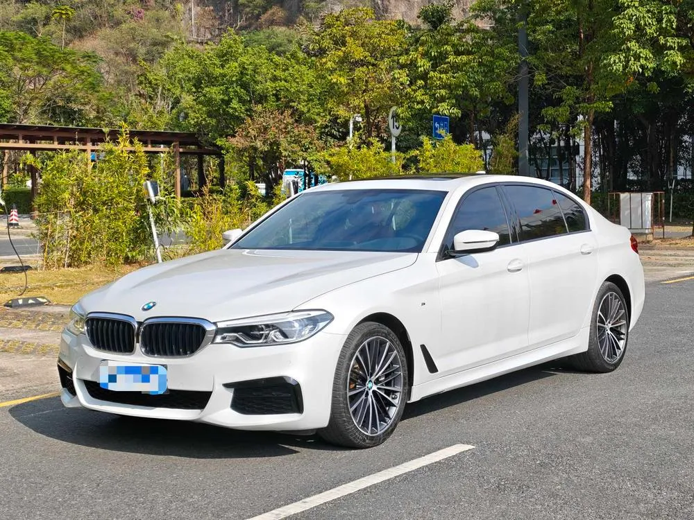 BMW 5-Series Facelift 530Li Leading Version M Sport, 2019 — фото 1