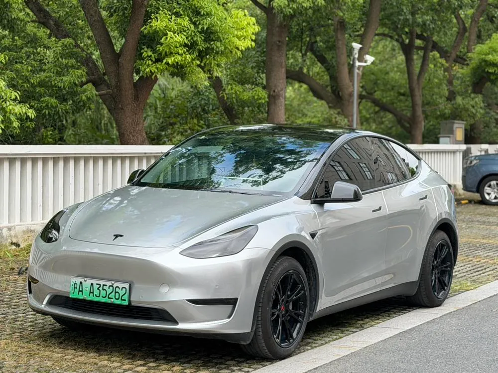 Tesla Model Y Standard Range Edition, 2021 — фото 1