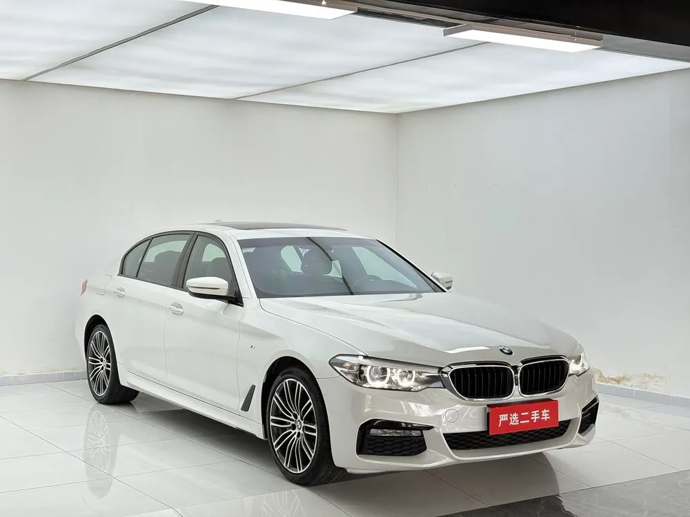 BMW 5-Series Facelift 530Li Leading Version M Sport, 2018 — фото 1