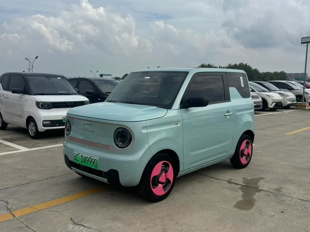 Galaxy Panda 200km mini, 2023 — фото 1