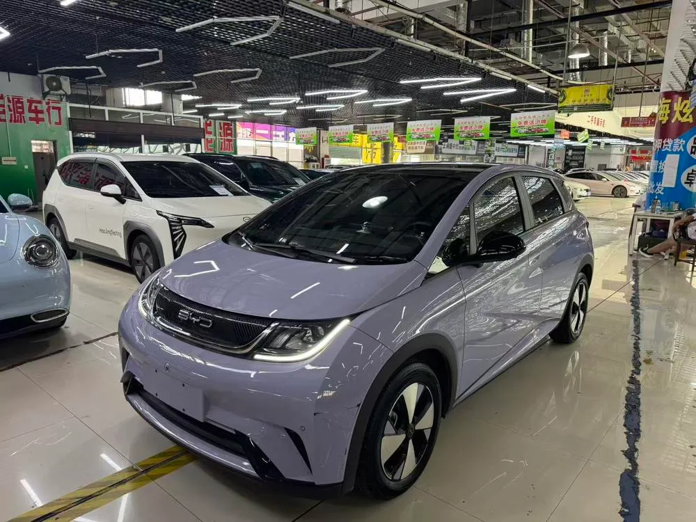 BYD Dolphin, 2023