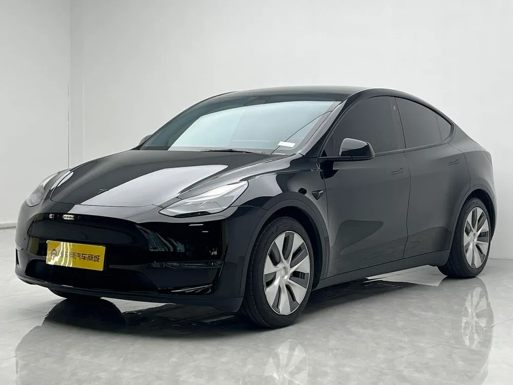 Tesla Model Y Standard Range Edition, 2021 — фото 1