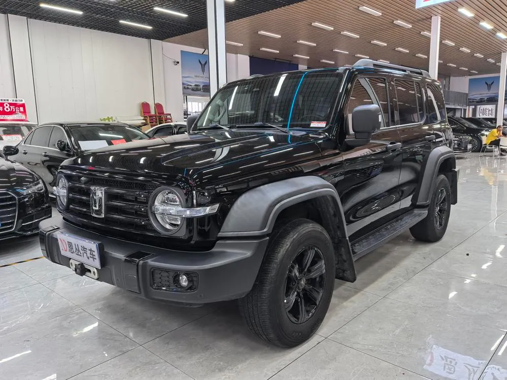 Tank 300, 2021