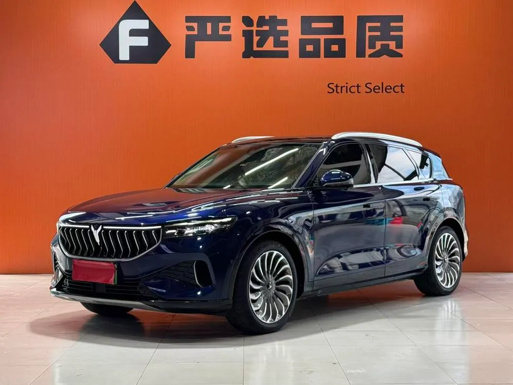 Voyah FREE 4WD Standard Electric Luxury, 2021 — фото 1