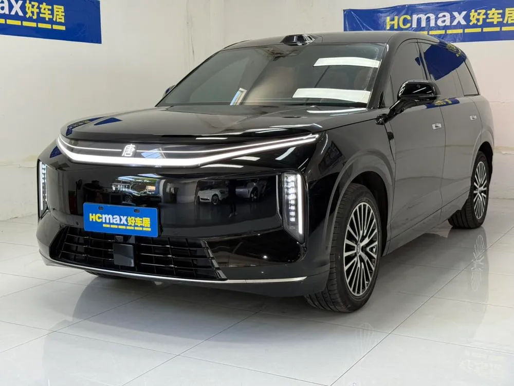 BYD EV, 2026