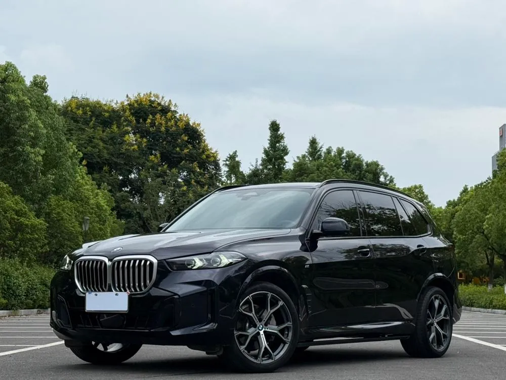 BMW X5 xDrive30Li Prestige Version M Sport, 2023 — фото 1