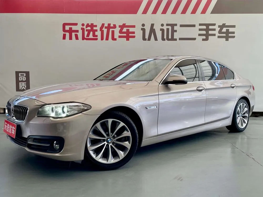 BMW 5-Series 525Li Leading Version, 2017 — фото 1