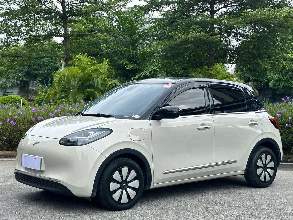 Wuling Bingo 410KM Prestige Model, 2024 — фото 1