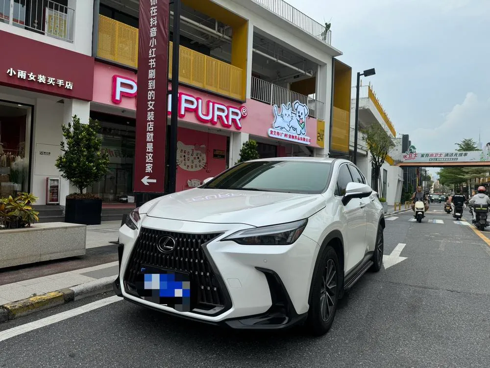Lexus NX 260 FWD Rush Edition, 2022 — фото 1