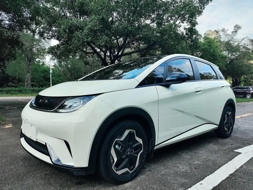BYD Dolphin, 2021