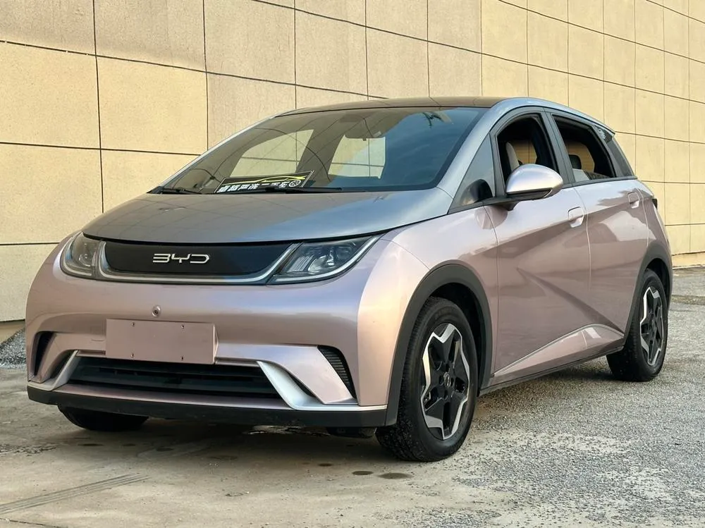 BYD Dolphin, 2021