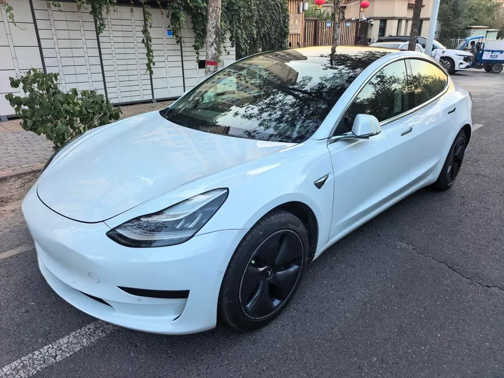 Tesla Model 3 (Import) Standard Range RWD Upgraded Edition, 2019 — фото 1