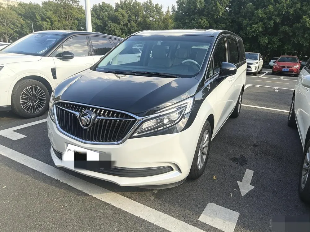 Buick GL8 ES 28T Comfort Version CN5, 2017 — фото 1