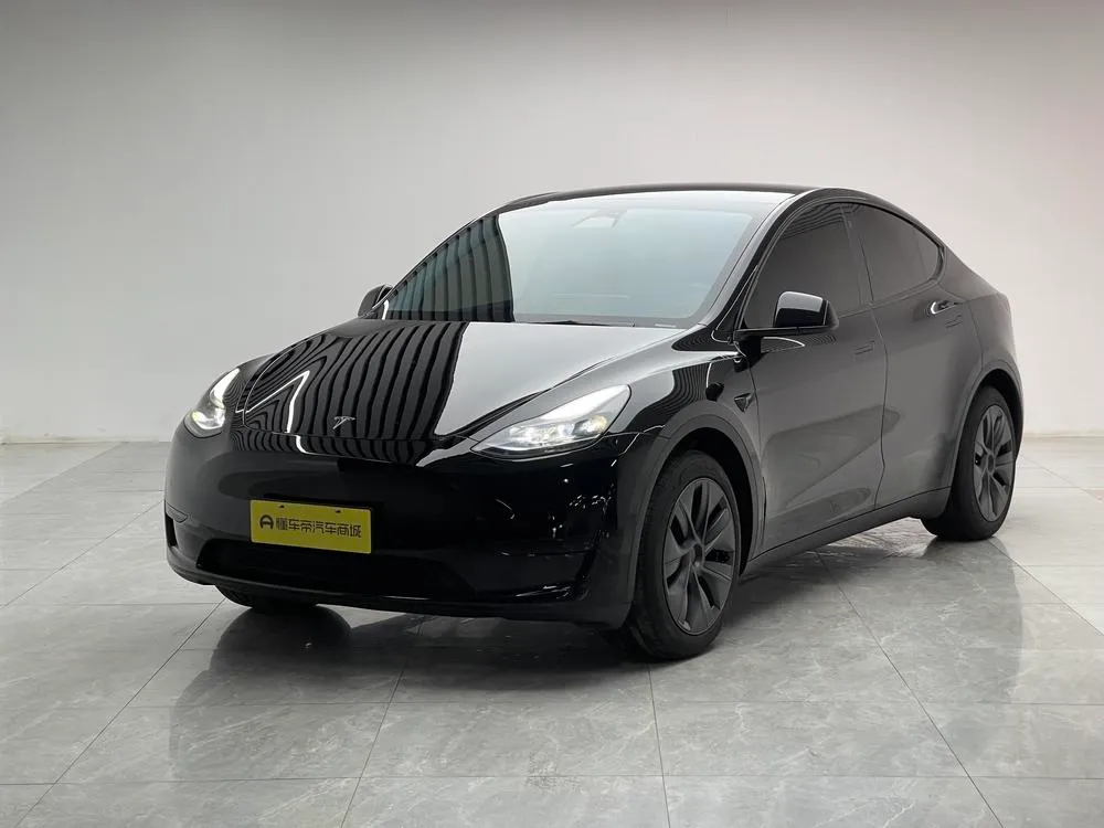Tesla Model Y Edition, 2023 — фото 1