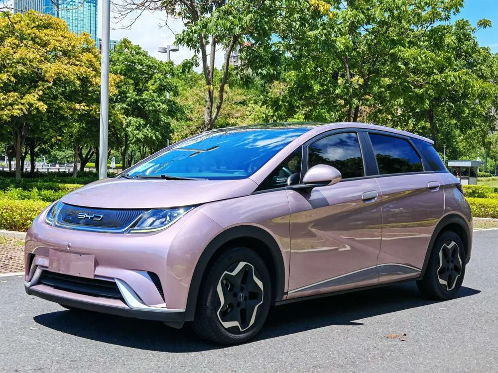 BYD Dolphin Fashion Edition, 2021 — фото 1