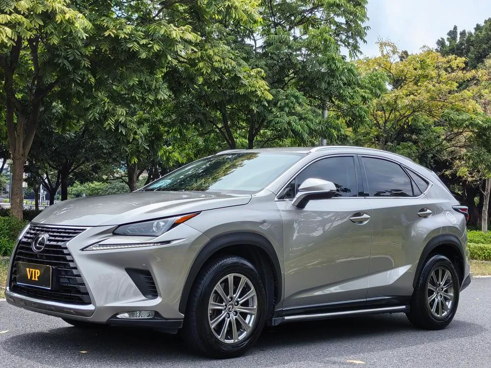 Lexus NX 200 FWD Edition CN6, 2020 — фото 1