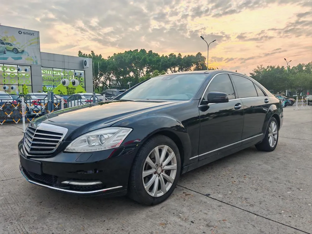 Mercedes-Benz S-Class S 300 L Business Version, 2010 — фото 1