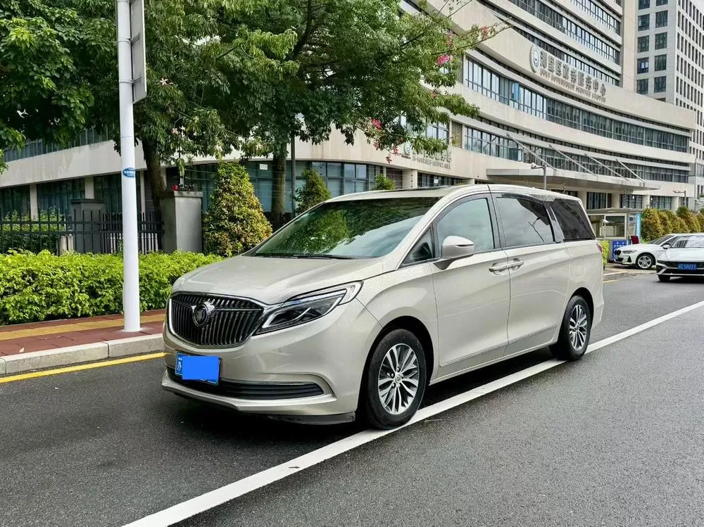 Buick GL8 ES 28T Flagship Version CN5, 2017 — фото 1