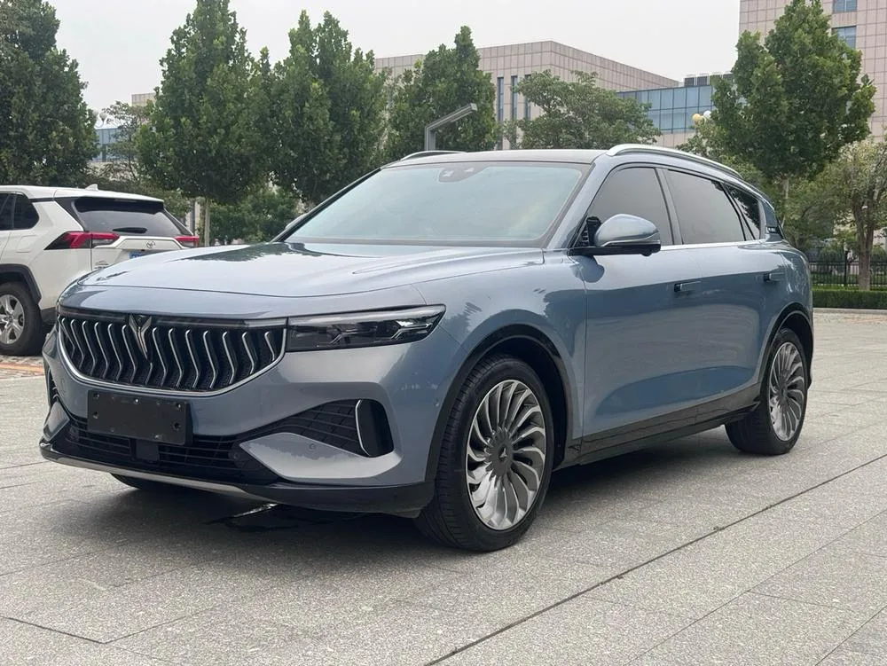 Voyah FREE 4WD Standard Electric Luxury, 2021 — фото 1