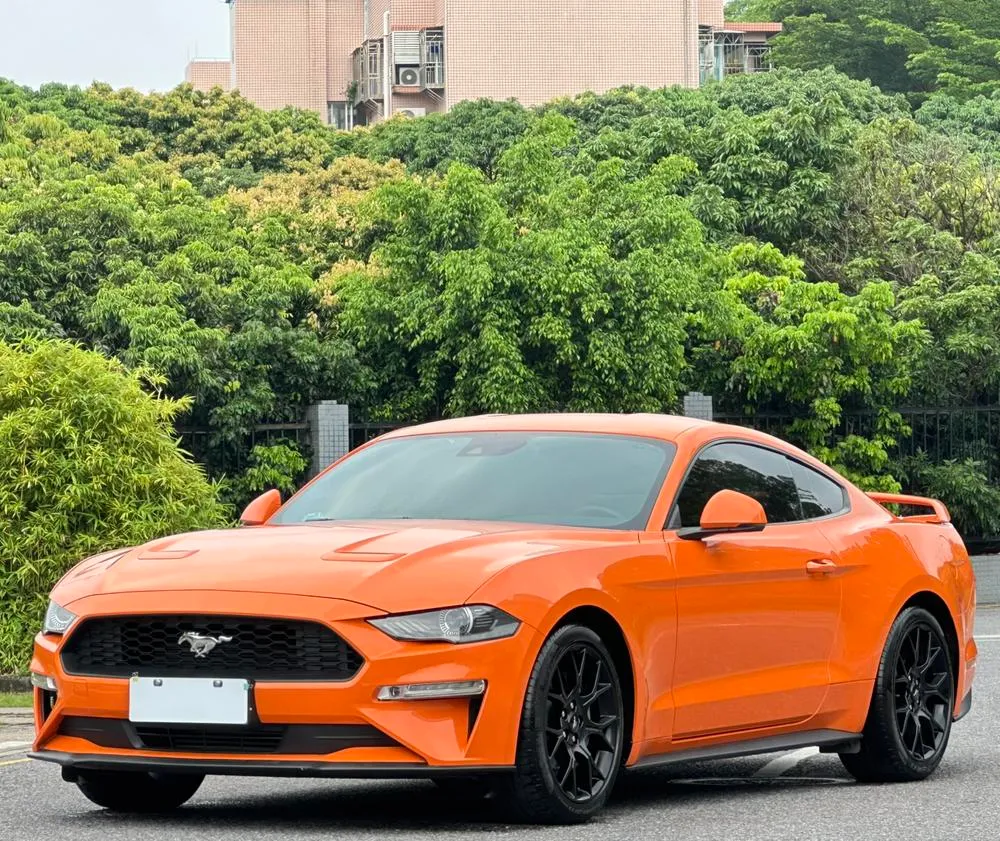 Ford Mustang 2.3T EcoBoost, 2020 — фото 1