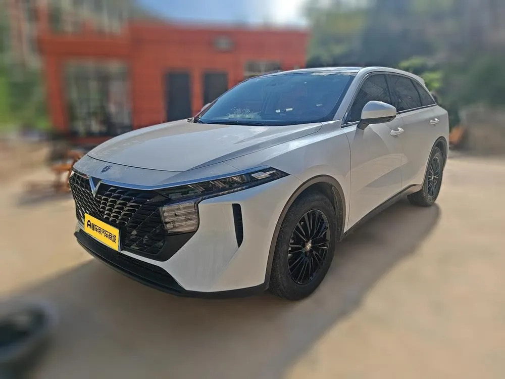 Venucia Big V 260T Edition Pro, 2023 — фото 1