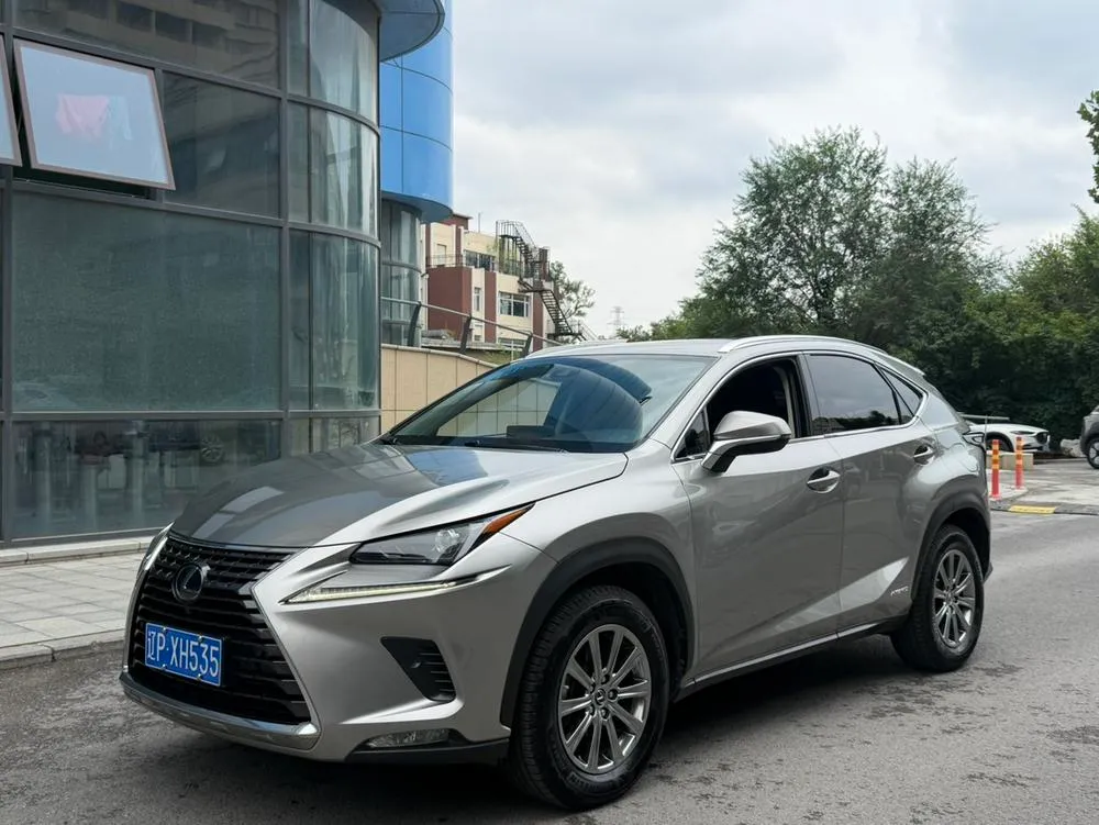 Lexus NX 300h FWD Style Edition CN6, 2020 — фото 1