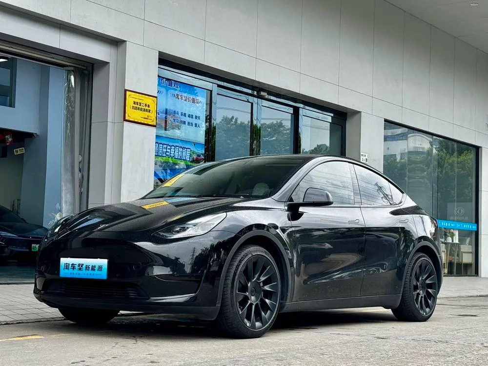 Tesla Model Y Edition, 2022 — фото 1