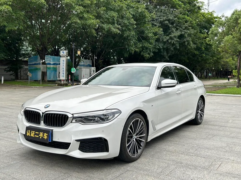 BMW 5-Series 530Li Leading Version M Sport, 2020 — фото 1