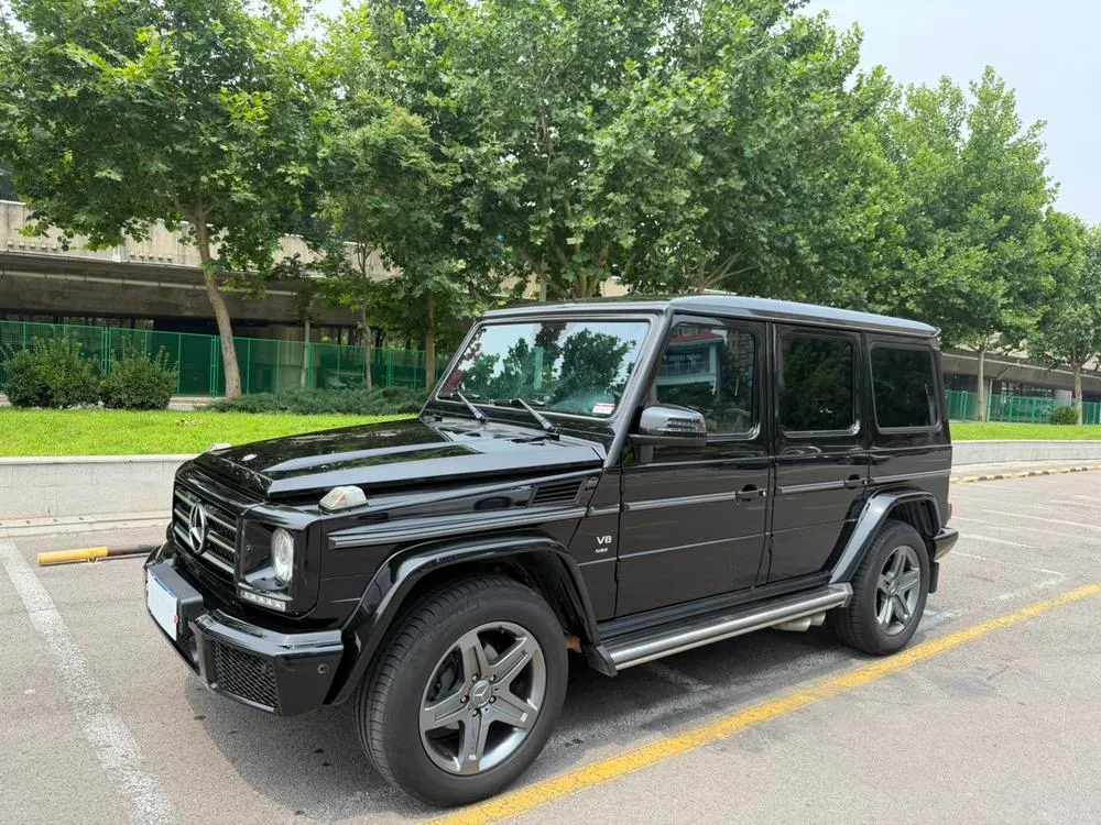 Mercedes-Benz G-Class G 500, 2016 — фото 1