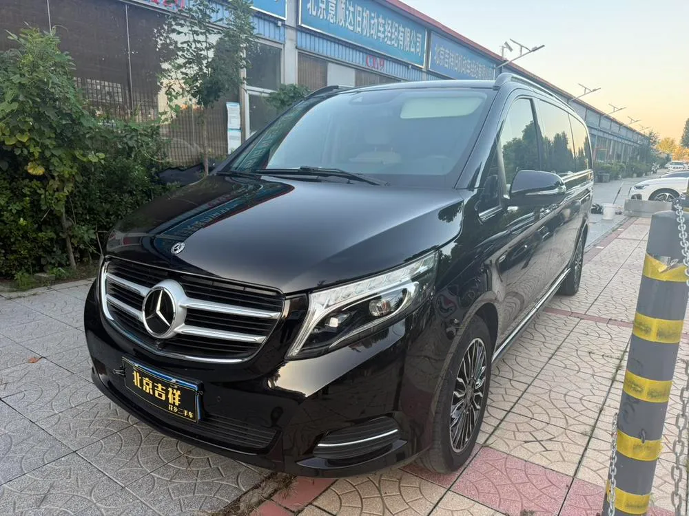Mercedes-Benz V-Class V 260 L LWB Luxury Edition, 2020 — фото 1