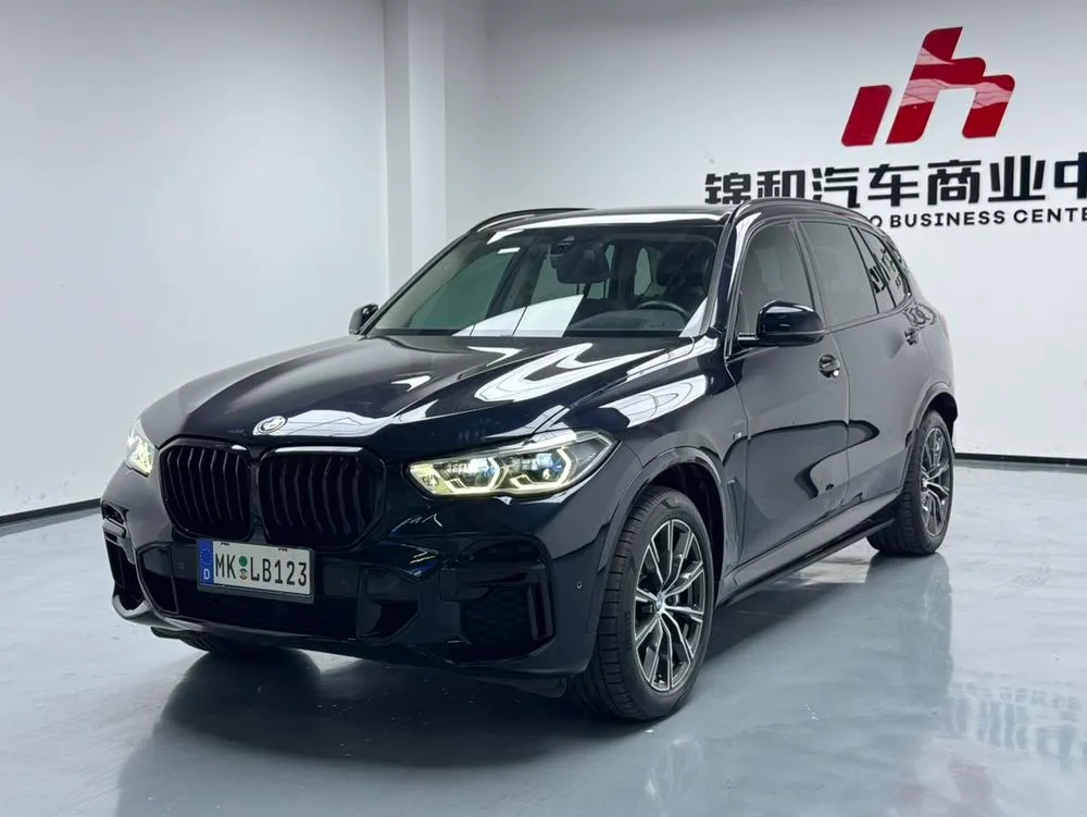 BMW X5 xDrive 30Li Prestige Version M Sport, 2022 — фото 1