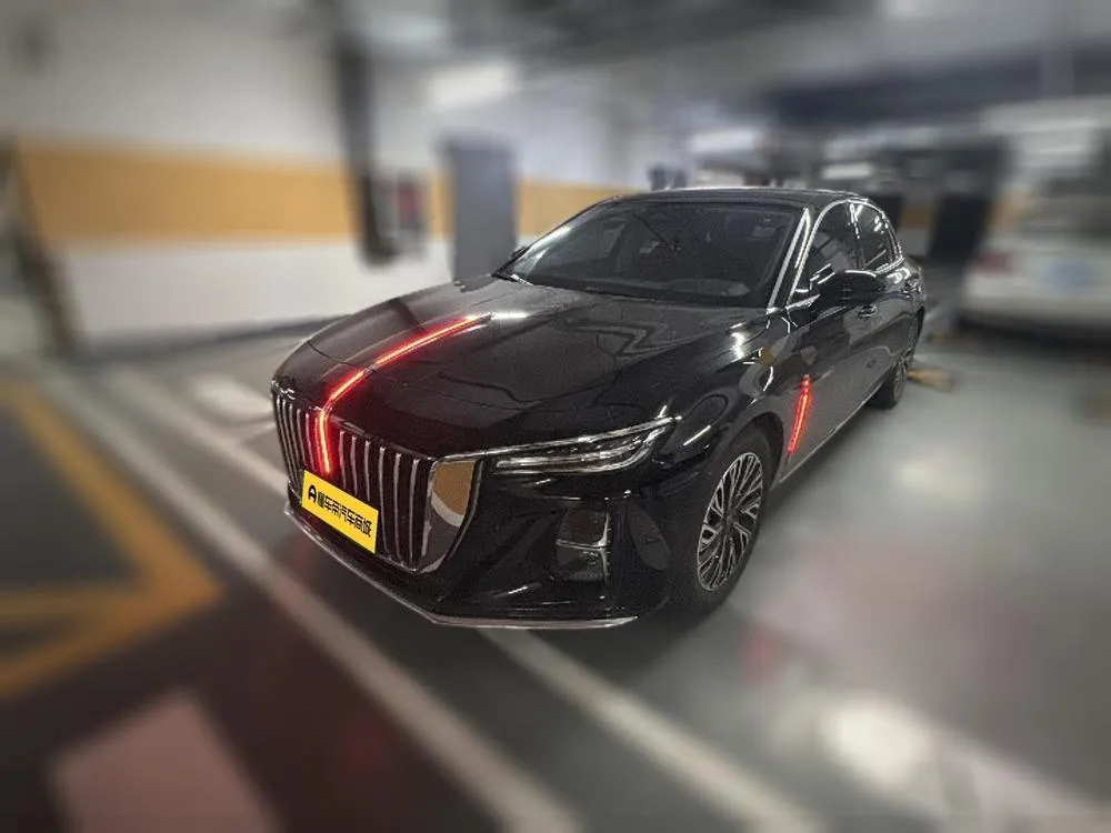 Hongqi H5, 2024