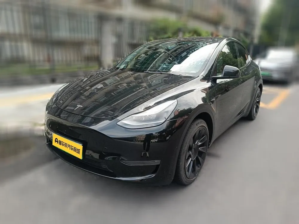 Tesla Model Y Standard Range Edition, 2021 — фото 1