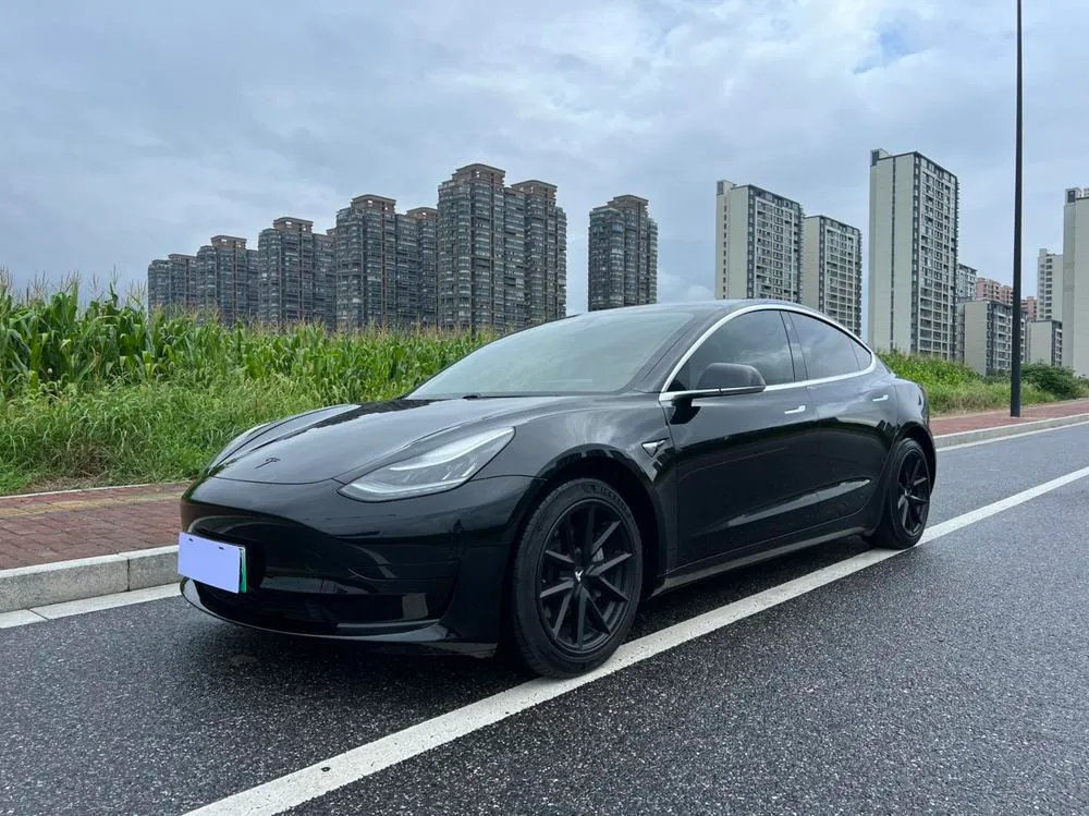 Tesla Model 3 Standard Range RWD Upgraded Edition, 2020 — фото 1