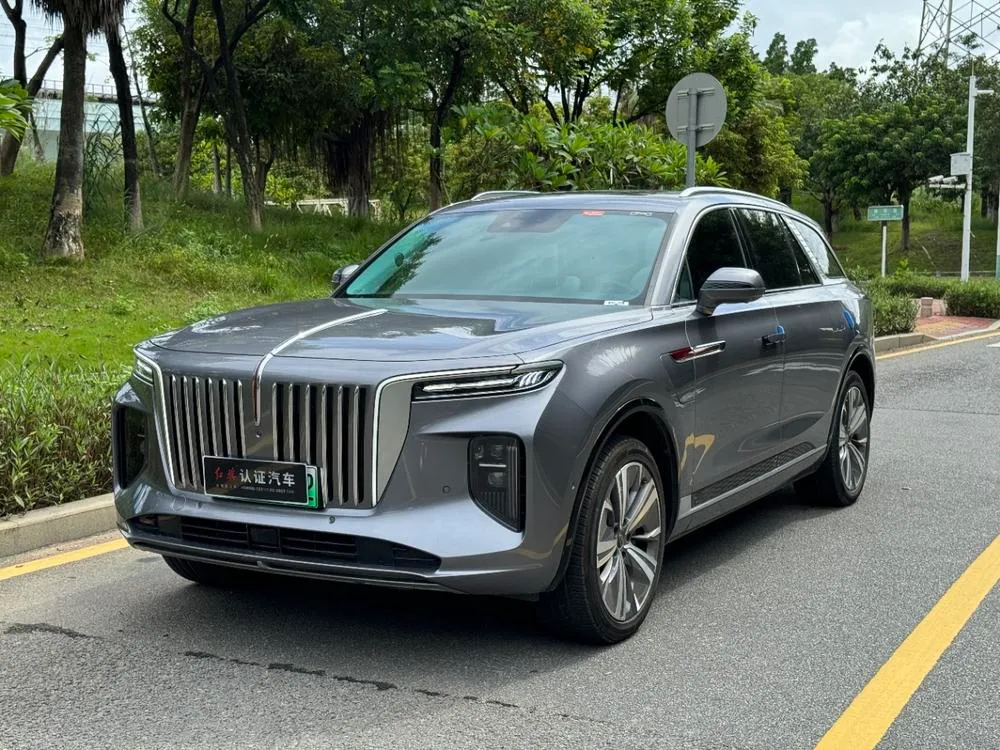 Hongqi E-HS9, 2020