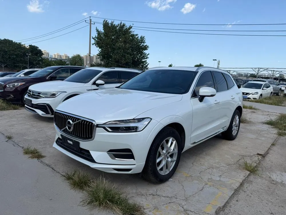 Volvo XC60 T5 4WD Luxury Edition, 2020 — фото 1