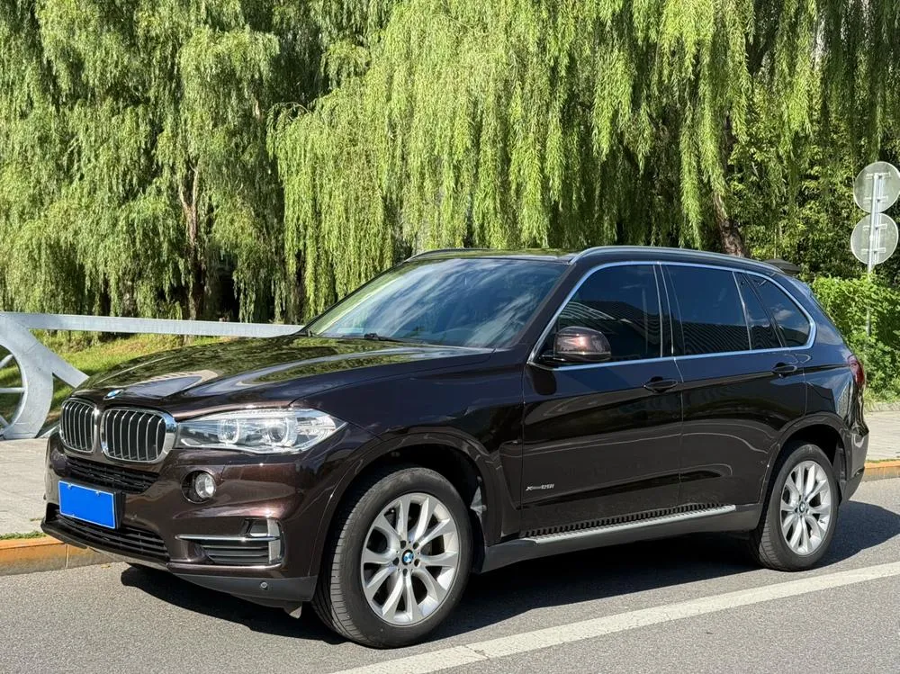 BMW X5 (Import) xDrive28i, 2017 — фото 1