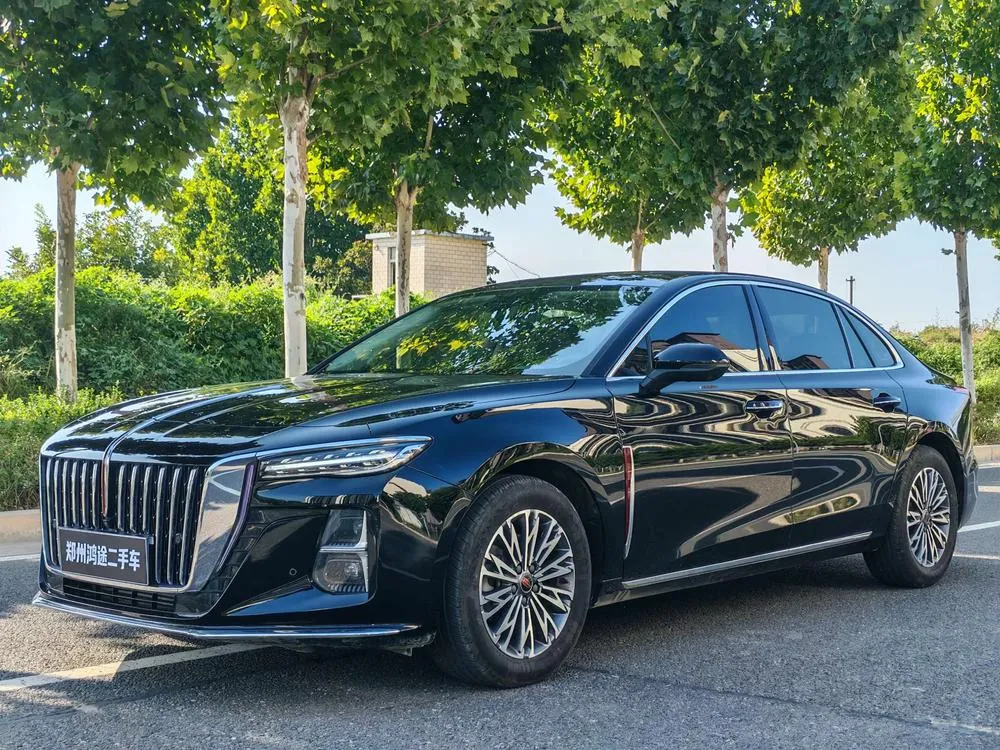 Hongqi H5, 2025