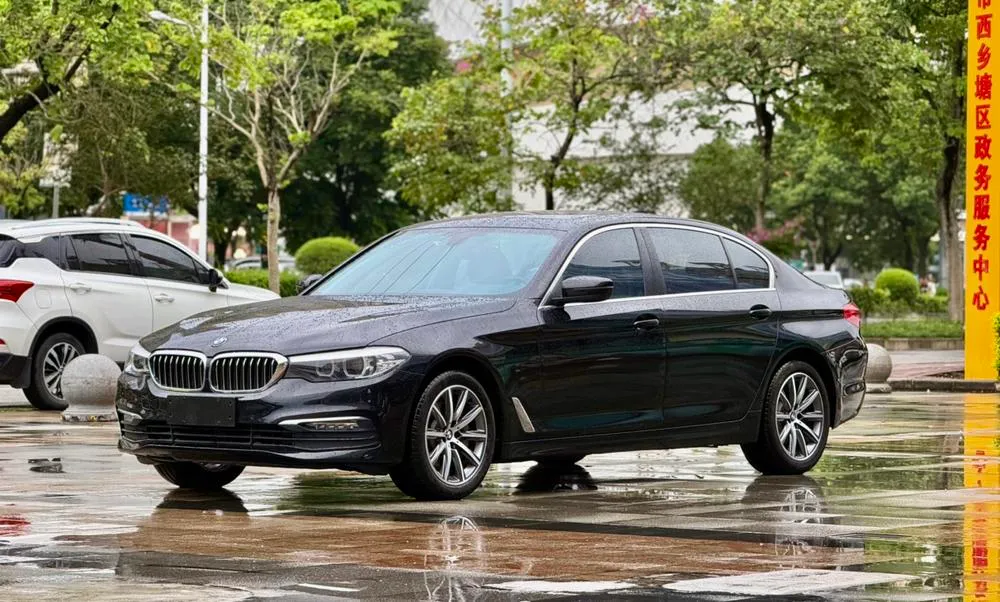 BMW 5-Series 528Li Special Edition, 2018 — фото 1