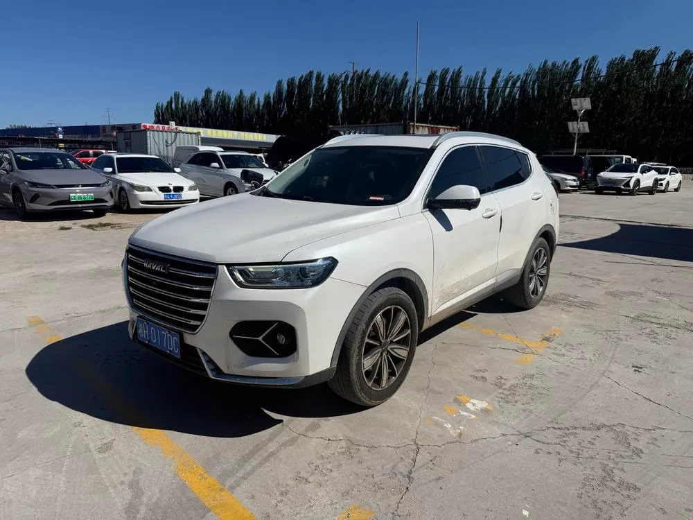 Haval H6 1.5GDIT Auto Champion Edition, 2021 — фото 1