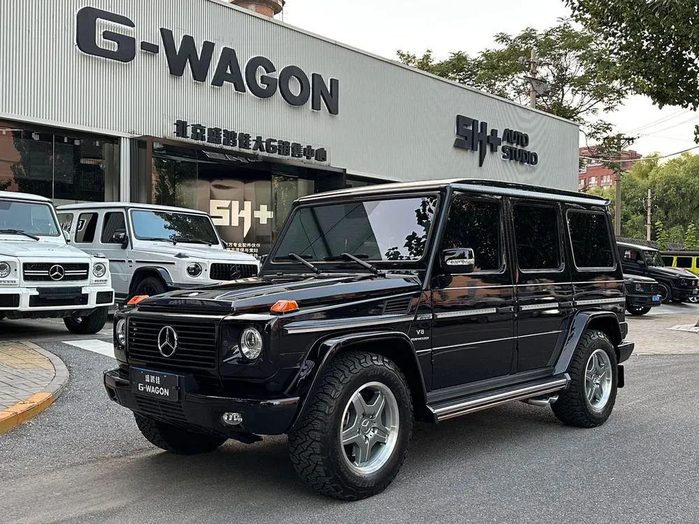 Mercedes-Benz G-Class AMG AMG G 55, 2009 — фото 1