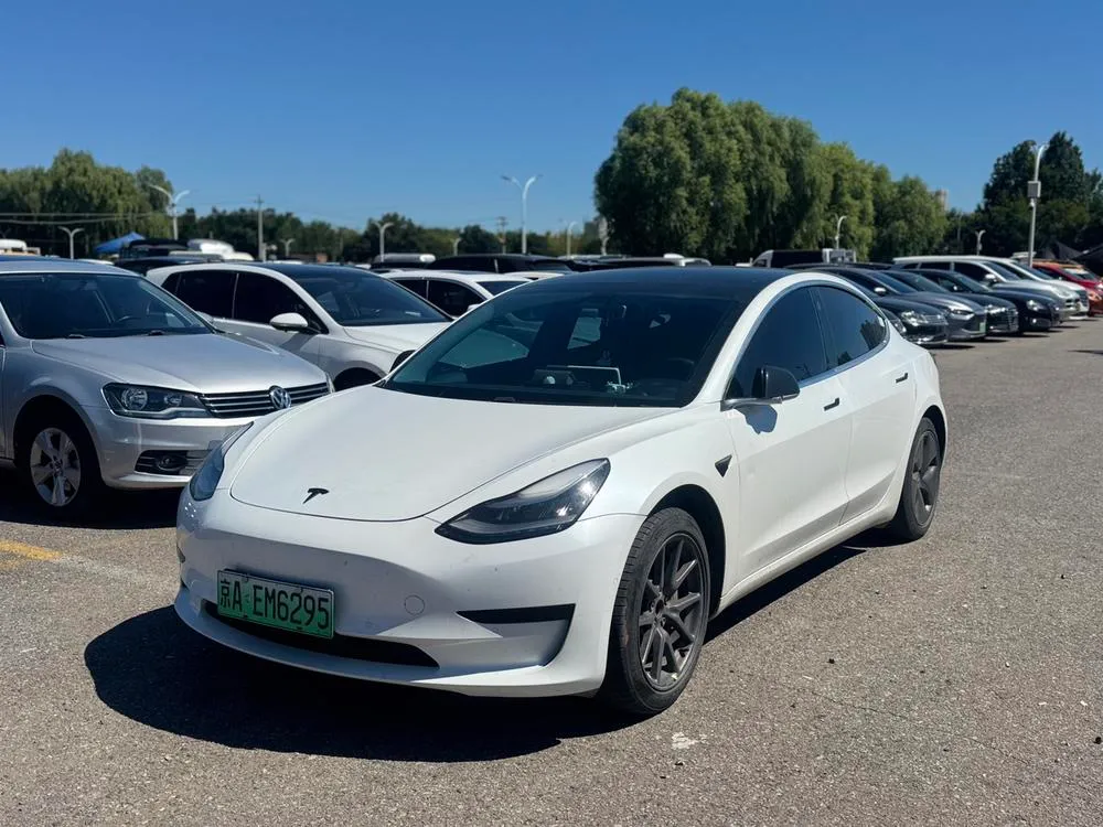 Tesla Model 3 Standard Range RWD Upgraded Edition, 2019 — фото 1