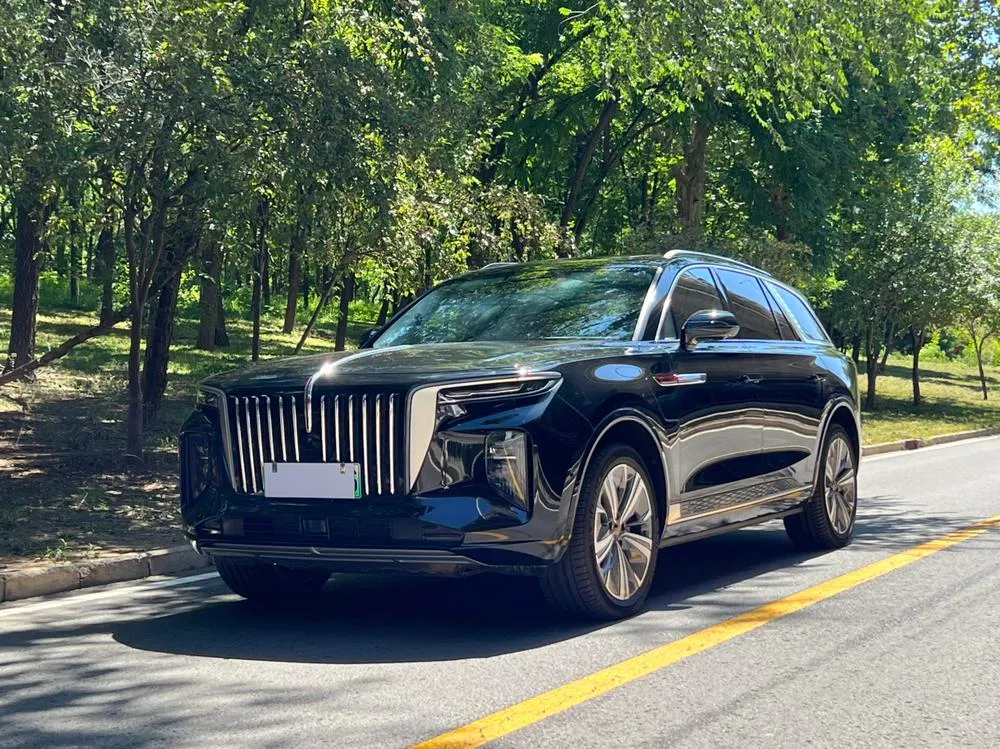 Hongqi E-HS9 460km Edition 6-Seater, 2020 — фото 1