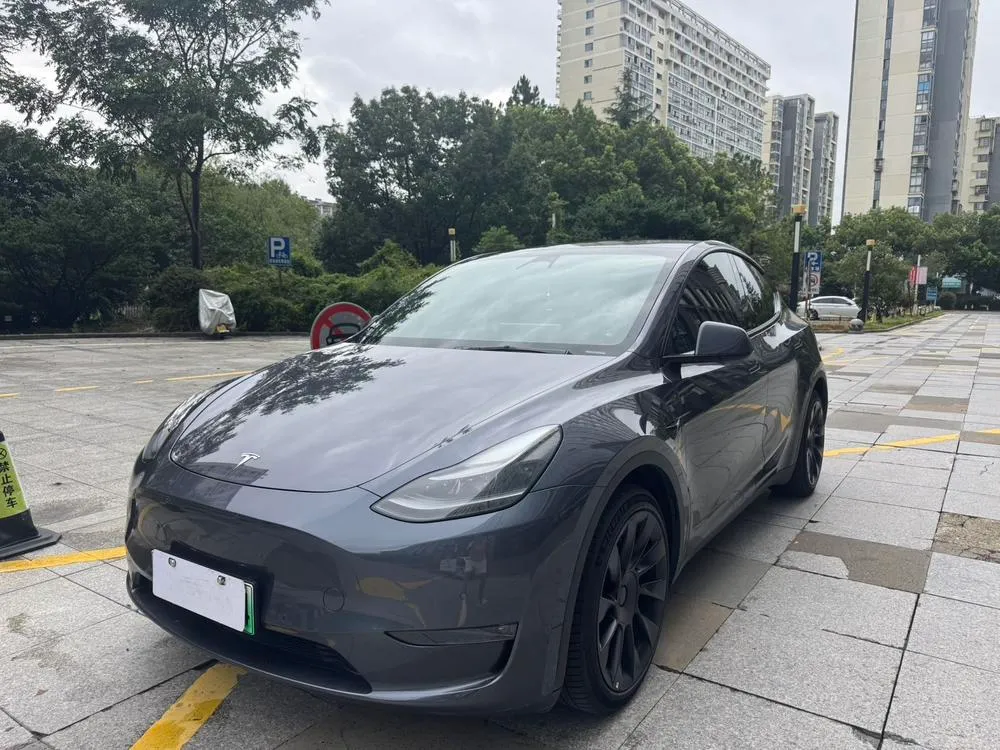 Tesla Model Y Facelift Long Range AWD Edition, 2021 — фото 1