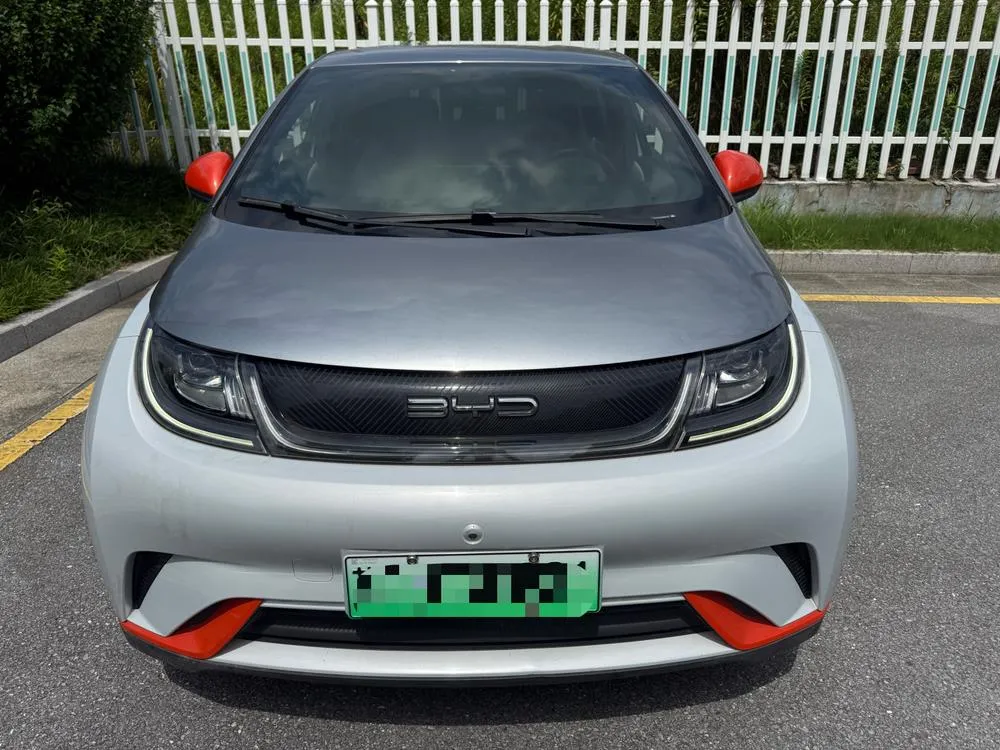 BYD Dolphin, 2021