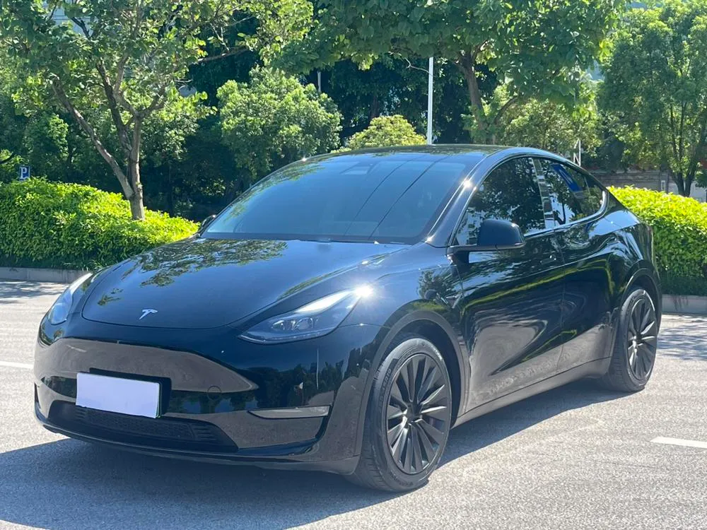 Tesla Model Y Standard Range Edition, 2021 — фото 1
