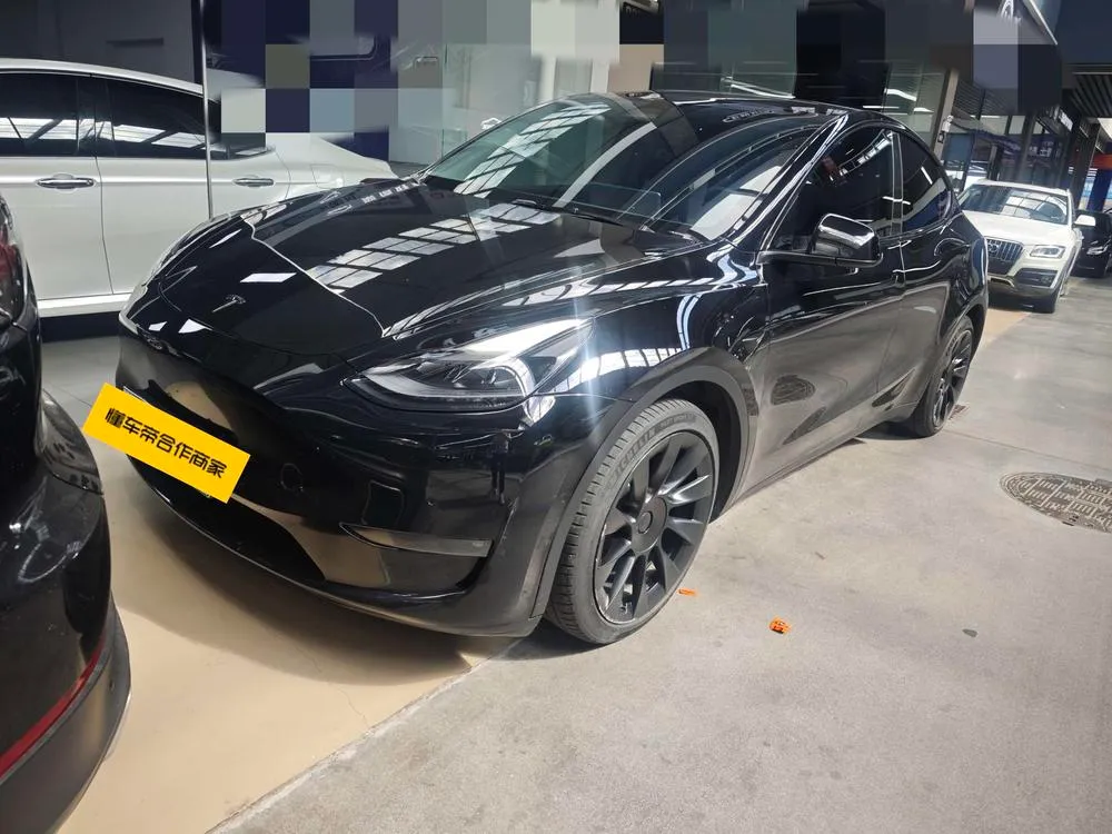 Tesla Model Y Standard Range Edition, 2021 — фото 1