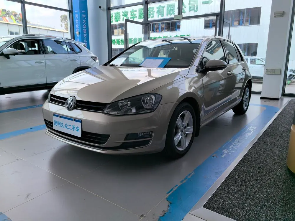 Volkswagen Golf 1.6L Auto Comfort Version, 2014 — фото 1